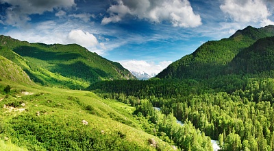 Фотообои "На склоне горы"